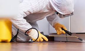 Best Fumigation Services  in Joseph, OR